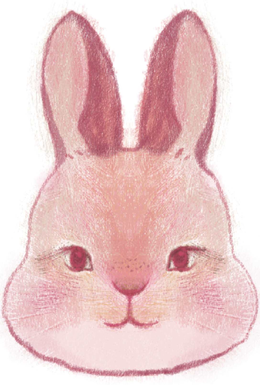 小兔