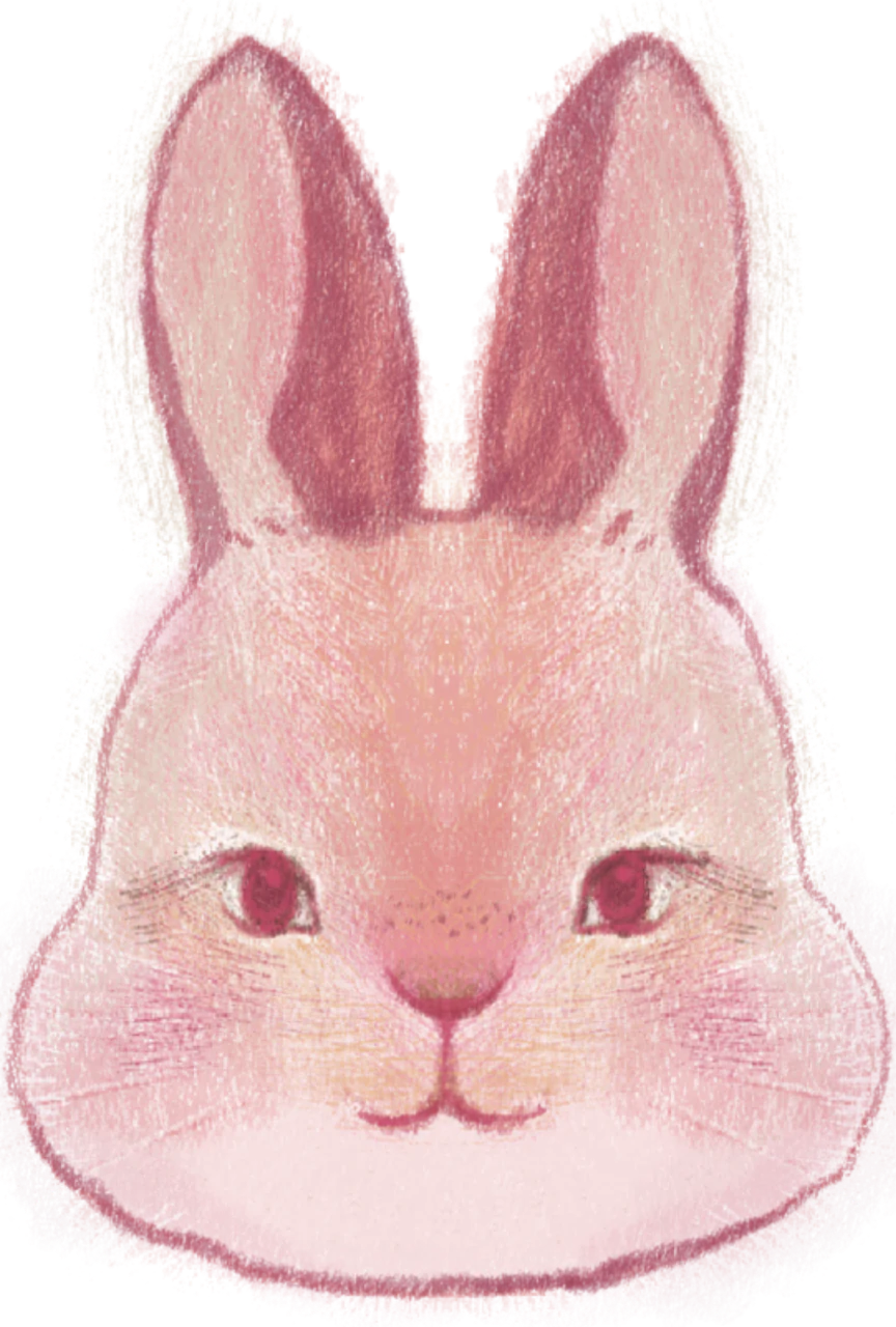 小兔