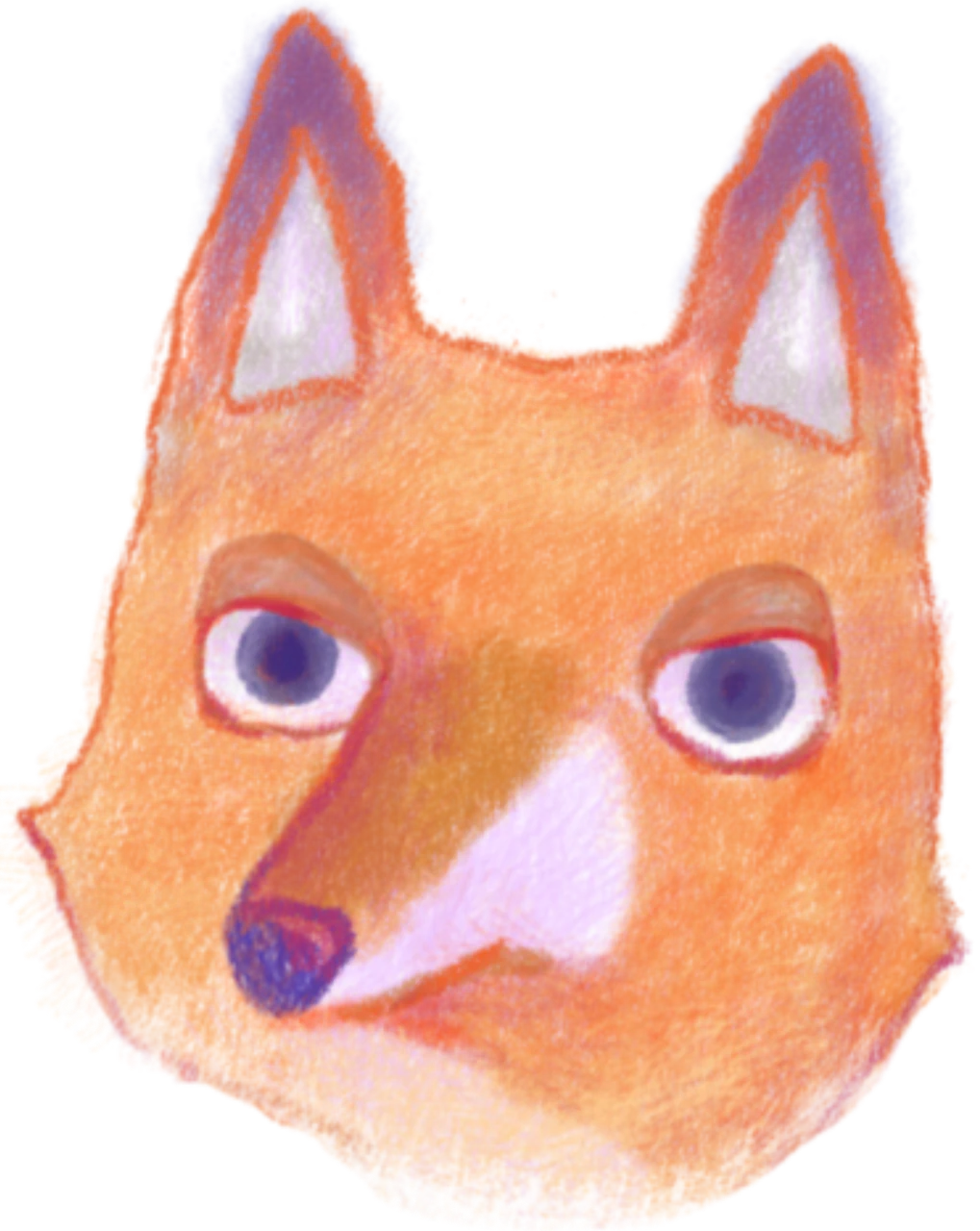 狐狸